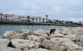 Beachcity Guesthouse